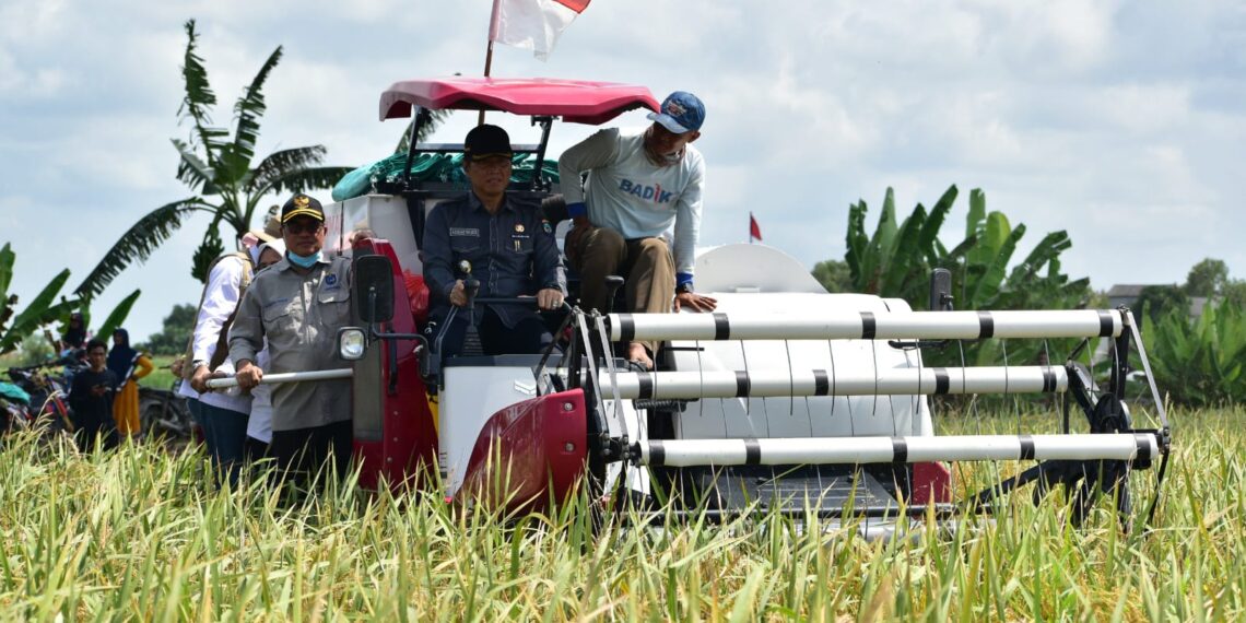 OKI Surplus Beras 238 Ribu Ton, Target Produksi Meningkat