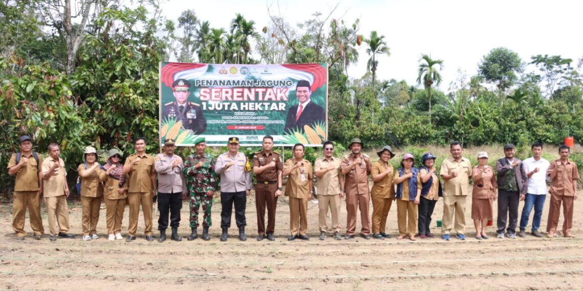 Polres Dairi Sukseskan Program Penanaman Jagung Serentak 1 Juta Hektar