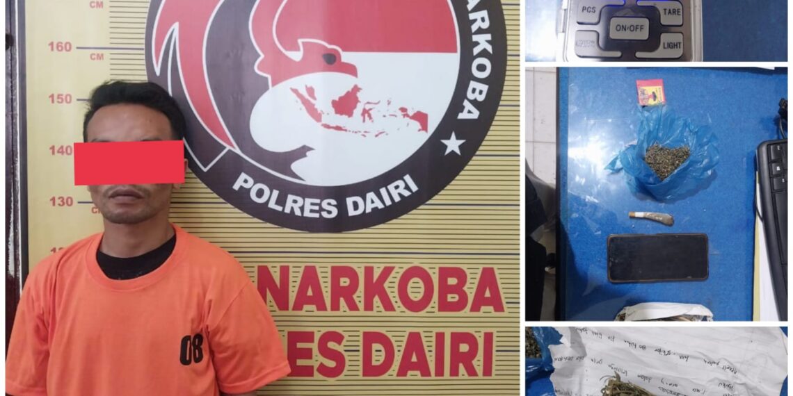 Sat Narkoba Polres Dairi Amankan Pria Atas Kasus Narkotika Jenis Ganja