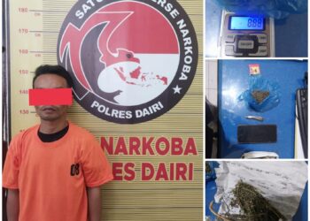 Sat Narkoba Polres Dairi Amankan Pria Atas Kasus Narkotika Jenis Ganja