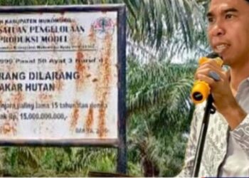 LP-KPK Kantongi 8 Nama Cukong Perambah HPT di Mukomuko, APH Bungkam