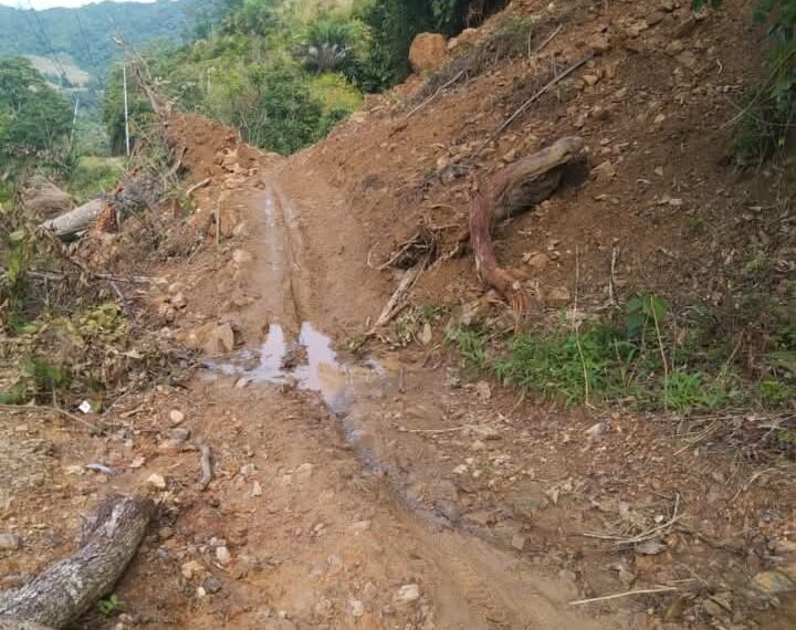 Terkena Bencana Longsor, Akses Jalan Desa Alur Subur Mulai Dapat Dilintasi