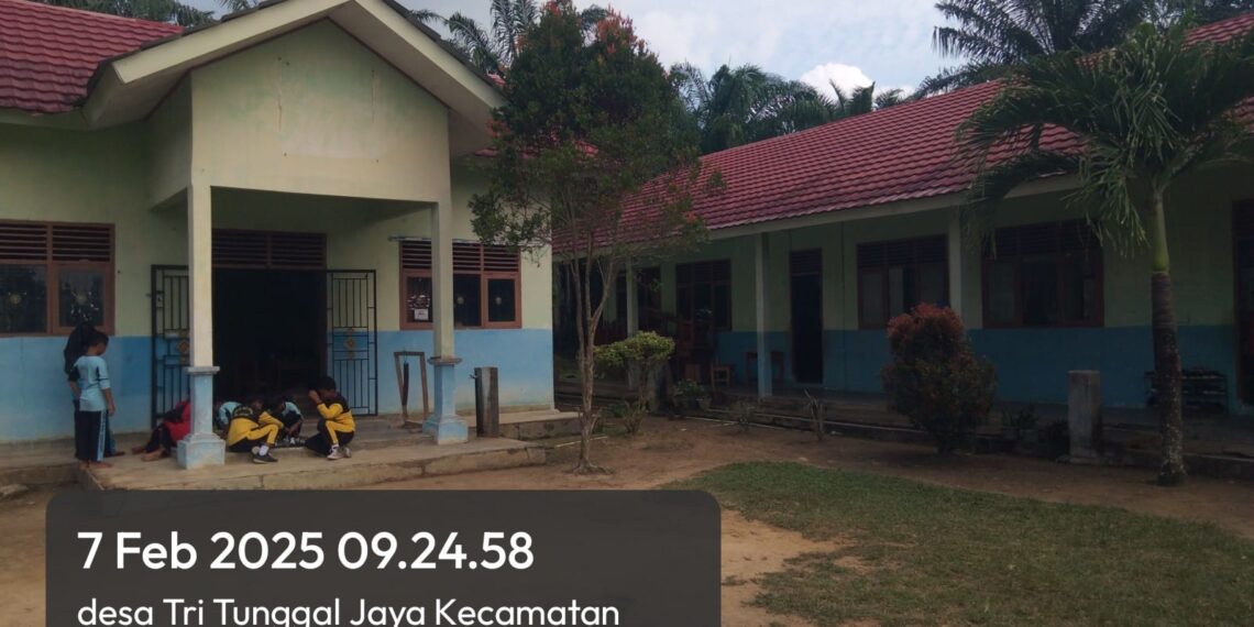 Dengan Lemahnya Pengawasan Dari  Pendidikan dan Kebudayaan Kabupaten Mesuji, Oknum Kepala Sekolah Jarang Masuk Sekolah