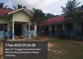 Dengan Lemahnya Pengawasan Dari  Pendidikan dan Kebudayaan Kabupaten Mesuji, Oknum Kepala Sekolah Jarang Masuk Sekolah