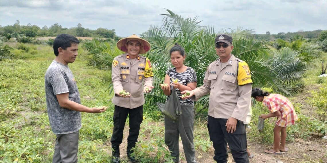 Kapolsek Rantau Alai  IPTU AGUS MASYUDHI SH melakukan sambang kepada kelompok tani