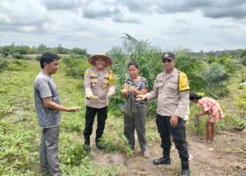 Kapolsek Rantau Alai  IPTU AGUS MASYUDHI SH melakukan sambang kepada kelompok tani