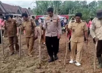 1 Hektar 1 Desa, Polres Mukomuko Ikuti Launching Program Kapolda Bengkulu Penanaman Jagung Serentak