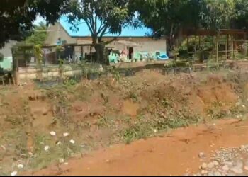 Berdasarkan Keterangan Warga Masyarakat Adat Silaut, PT. Incasi Raya Terdengar Kabar Ingin Membuka Jalan Baru