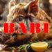 *Babi*