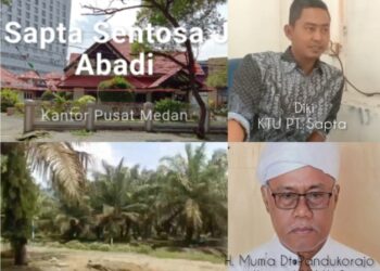 Masyarakat Adat Kenagarian Silaut Menagih  Janji PT. Sapta Sentosa Jaya Abadi Terkait Tanah Ulayat Kelebihan Digarap