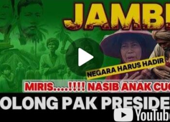 *Tragedi 100 Hektar: Ketika Tanah Rakyat Diratakan, Hidup Pun Terancam*