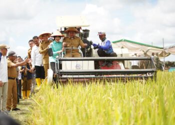 Wakili Sumsel, Petani OKI Panen Raya Serentak Bersama Presiden Secara Virtual