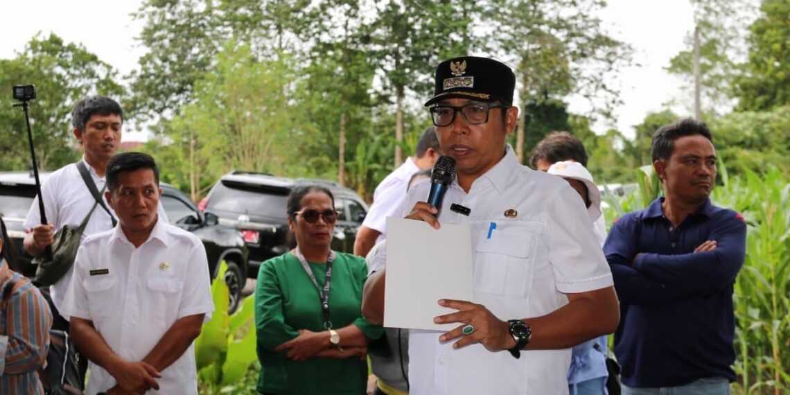 Pemerintah Kabupaten Tapanuli Utara Secara Resmi Meluncurkan Program Tanam Jagung Serentak di 15 Kecamatan