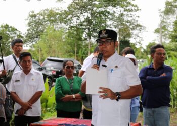 Pemerintah Kabupaten Tapanuli Utara Secara Resmi Meluncurkan Program Tanam Jagung Serentak di 15 Kecamatan