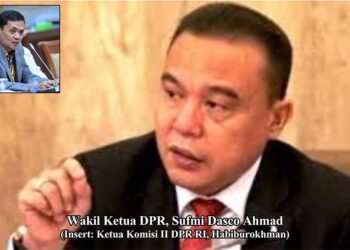 Fitnah dan Insinuasi Tingkat Tinggi terhadap Sufmi Dasco Ahmad