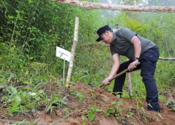 Bupati dan Wakil Bupati Tapanuli Utara Penanaman Pohon dan Tinjau Wisata Salib Kasih