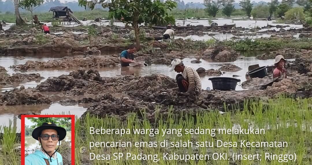 Harga Emas Meroket! Warga Berbondong-Bondong Buru Emas, Diyakini Peninggalan Kerajaan Sriwijaya