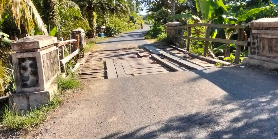 Desa Sumber Makmur Menghadapi Keseriusan dalam Permasalahan Infrastruktur Jembatan