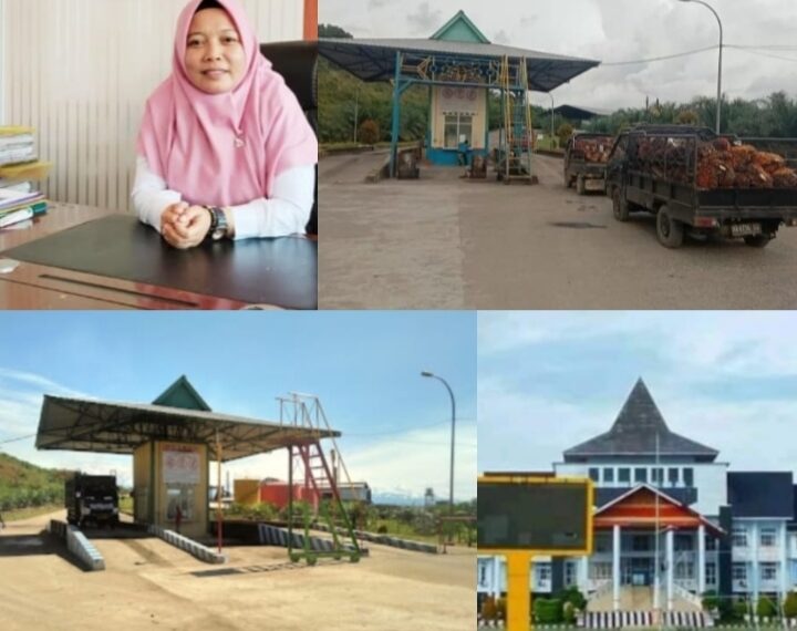 Gubernur Bengkulu Tegur Empat Perusahaan Sawit atas Dugaan Pelanggaran Harga TBS