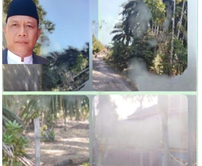 Jaringan Tegangan Tinggi Kabel Listrik di Pemukiman Warga dan Bangunan Sekolah: Ancaman Keselamatan yang Mengintai