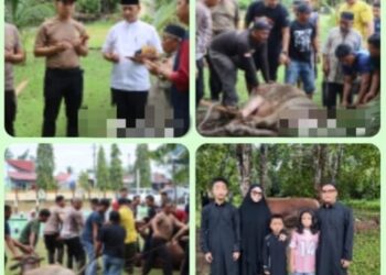 Polres Mukomuko Laksanakan Pemotongan Hewan Qurban dalam Menyambut Hari Raya Idul Adha 1446 Hijriah