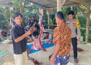 Momen Hari Raya Kurban, Masjid Jami Al-Iman Merayakan Hari Raya Idul Adha 1446 H/2025 M