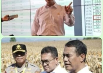 Mentan Amran Sulaiman Ungkap Proses Hukum Bagi Oknum yang Manipulasi Data Beras