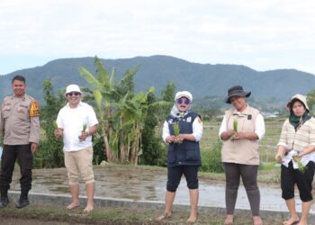 Dinas Pertanian  Lakukan Tanam Padi Bersama Di Daerah Irigasi Sikaleut Dukung Swasembada Dalam Kebutuhan Pangan