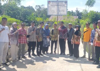 Pembangunan Jalan Rabat Beton dengan Volume 341 Meter di Dusun II Desa Ranah Karya