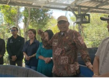 Bupati Dairi Ikut Panen Ikan Lele sekaligus Bahas Persiapan Dapur Makan Bergizi Gratis
