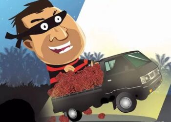 Tercium Bau Kebusukan Adanya Dugaan Penyelewengan Hasil KMD Tiga Talang