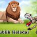 *Republik Keledai*  _Oleh: Dominggus Elcid Li_