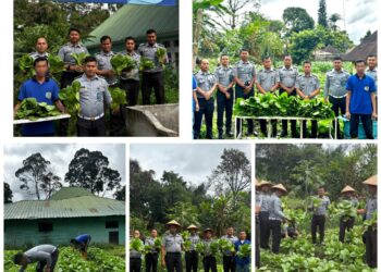 Rutan Tarutung Berhasil Panen 40 kg Sayuran Pakcoy, Karutan : “Bukti Pembinaan Kemandirian Berjalan Baik”