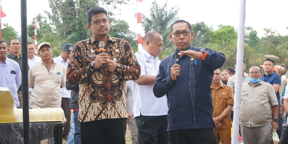 Bupati Taput dan Gubernur Sumut Tanam Jagung di Parmonangan: Bentuk Kolaborasi Dorong Ketahanan Pangan dan Respons Keluhan Petani