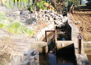 Ketimpangan Proyek Irigasi Air Manjunto: Petani Sayap Kiri Ancam Boikot Proyek Balai Sungai Sumatera VII