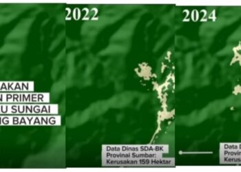 Darurat Lingkungan: 159 Hektar Hutan Primer Di Hulu Sungai Batang Bayang Porak Poranda Akibat Pemalakan Liar