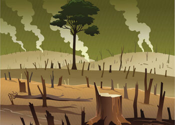 Penegakan Hukum di Tapan: Masyarakat Mendesak Tindakan Nyata