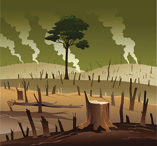 Penegakan Hukum di Tapan: Masyarakat Mendesak Tindakan Nyata