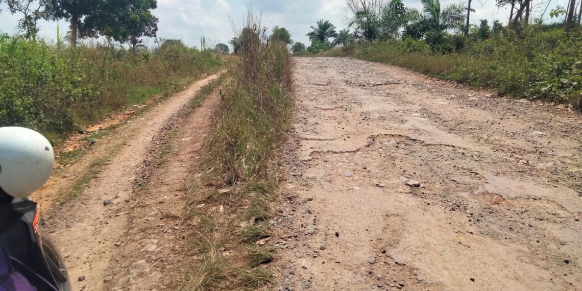 Ketua Umum PPWI Wilson Lalengke S.pd, Msc, MA Kaget Melihat Kondisi Jalan Di Kabupaten Mesuji Lampung