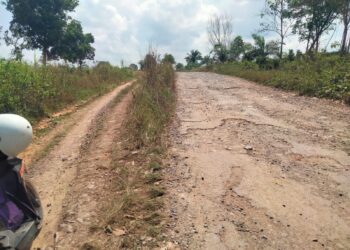 Ketua Umum PPWI Wilson Lalengke S.pd, Msc, MA Kaget Melihat Kondisi Jalan Di Kabupaten Mesuji Lampung