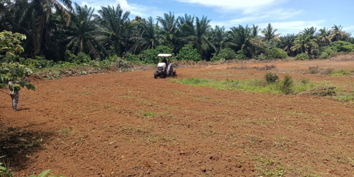Pemerintah Desa Lubuk Gedang Mendukung Program Penanaman Jagung Satu Hektar Satu Desa