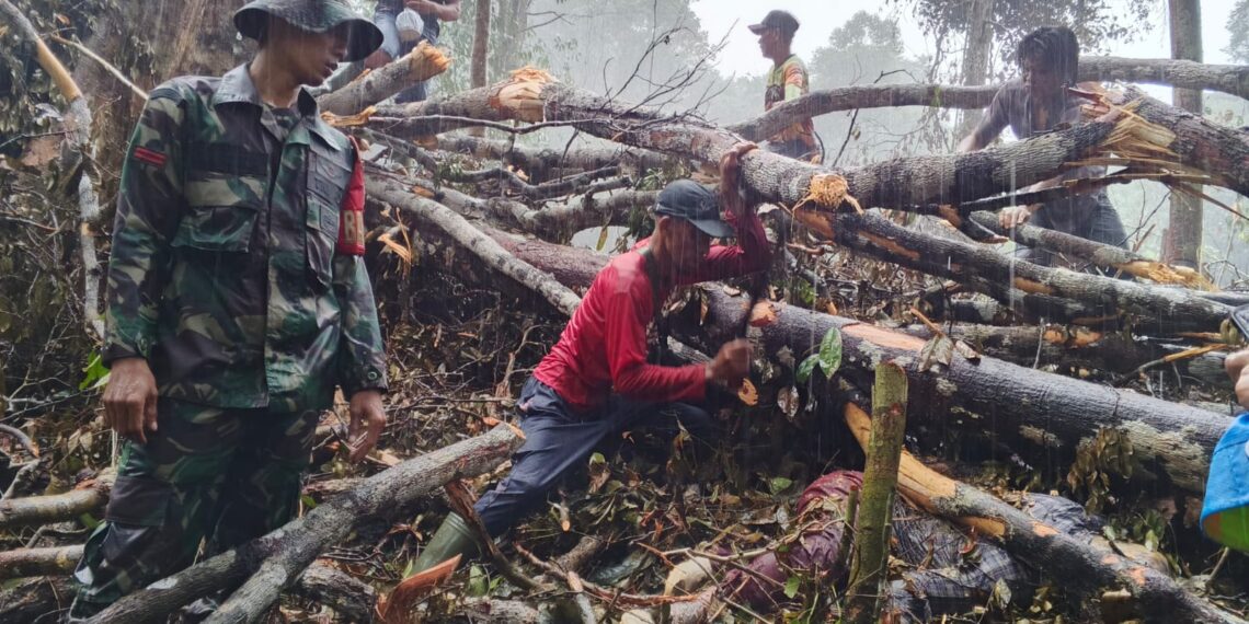 Penemuan Mayat di Sungai Napal, Mukomuko: Korban Tertimpa Pohon
