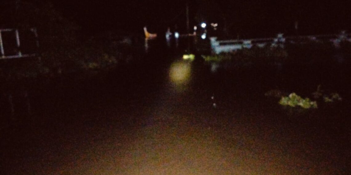 Banjir Landa Desa Pulau Makmur, Warga Menggantungkan Harapan pada Pemerintah