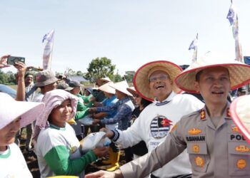 Bupati Dairi Hadiri Launching Penanaman Jagung Di Desa Kalang Simbara Dukung Program Ketahanan Pangan Nasional