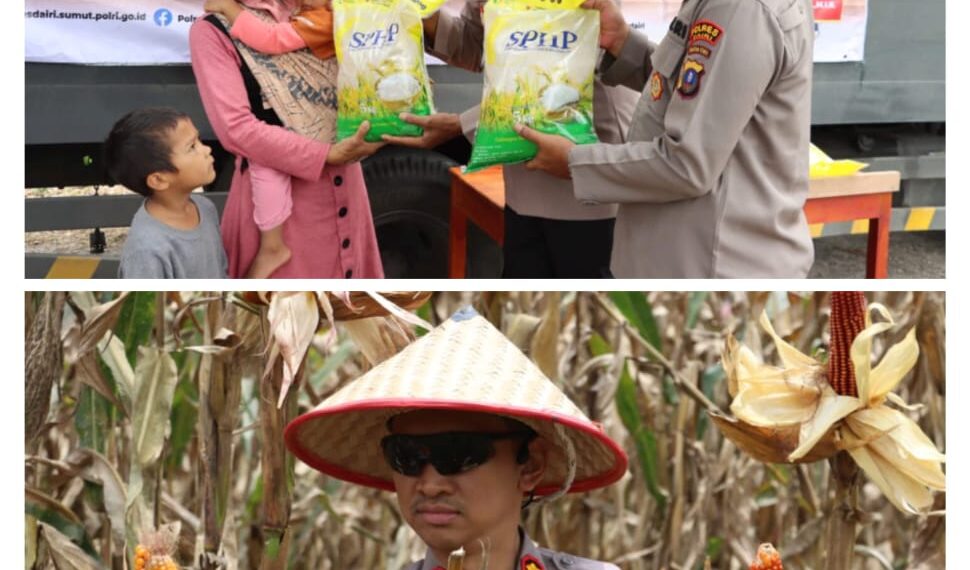 Polres Dairi Gelar Panen Raya Jagung Hingga Pangan Murah,Mendukung Ketahanan Pangan