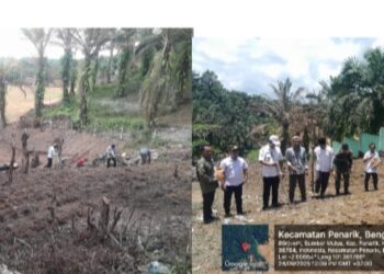 Pemdes Sumber Mulya Dukung Program Pangan Nasional Menanam Jagung dengan Semangat Gotong -Royong