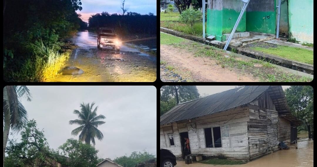 Pohon Besar Tumbang Akibat Hujan Deras Disertai Angin Kencang Di Desa Harapan Jaya