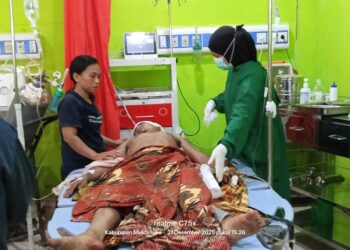 Sengketa Jalan Berakhir Tragis Pembacokan Brutal Gegerkan Desa Bunga Tanjung, Mukomuko