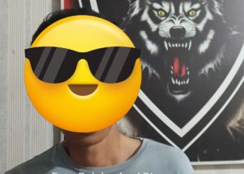 Taem Tekab 308 Polres Mesuji Berhasil Mengamankan AM (26) Pelaku Pencurian