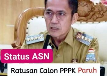 Kesejahteraan Belum Terjamin, Ratusan Calon PPPK Paruh Waktu Palembang Pilih Mundur